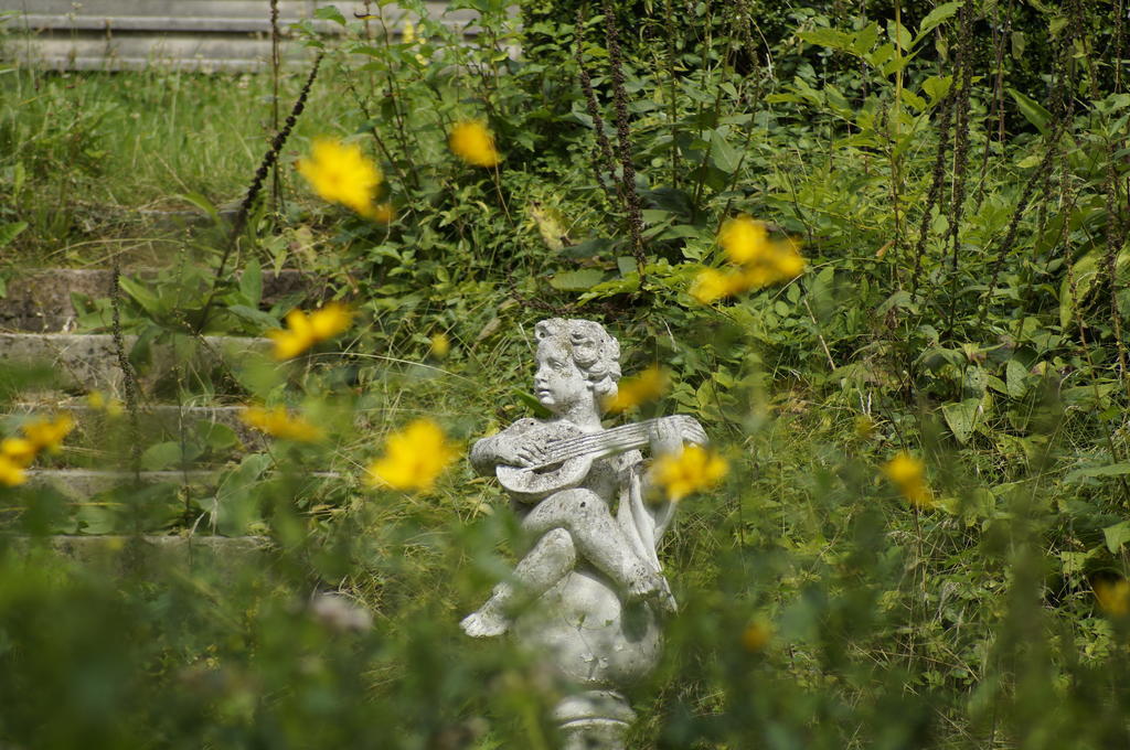 Jagdschloss Quitzin Grimmen Zewnętrze zdjęcie